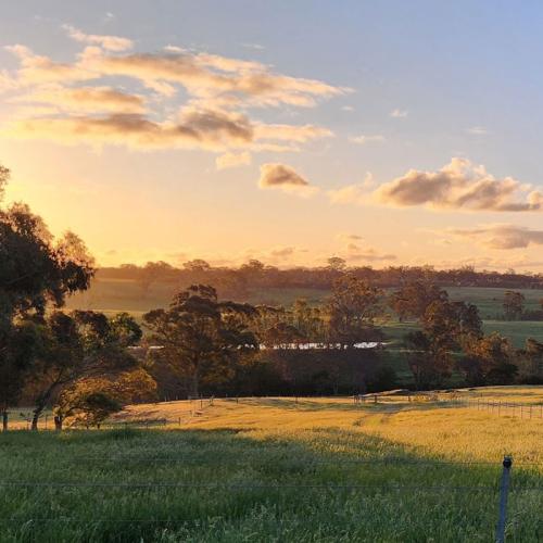 Graham Agency Melbourne is a Website Design, UX and Branding Digital Agency for Agricultural and sustainable communities and businesses.