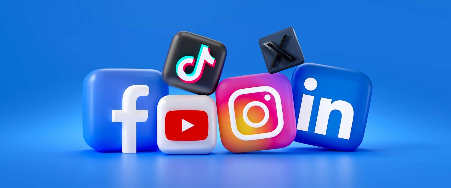 We manage social calendars, posting schedules and set out marketing strategies