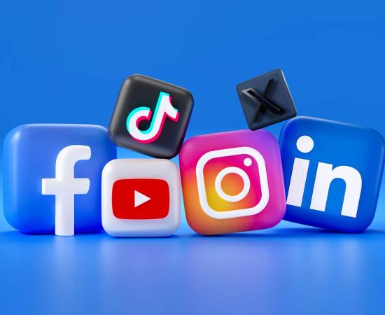 We manage social calendars, posting schedules and set out marketing strategies