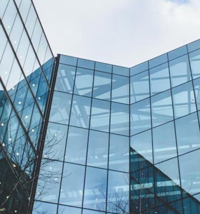 Digital solutions for Streamlining Businesses in Growth